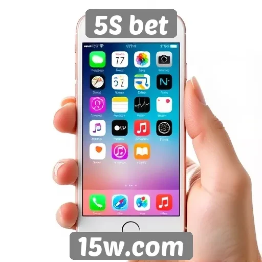 Interface do usuário no 5S bet e sua acessibilidade